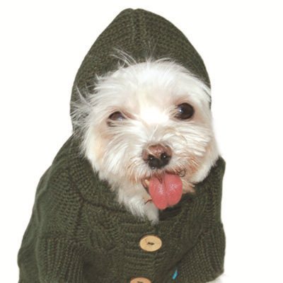 dogo